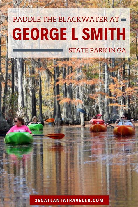 George L Smith State Park: You'll Love Paddling the Amazing Black Water