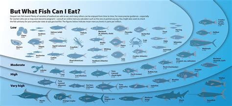 Sustainable Seafood The Food Hacks Guide To Doing It Right Food