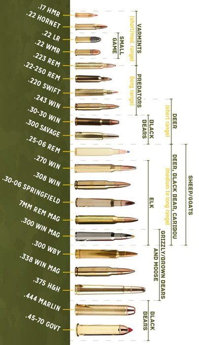 Ammo Can Size Chart