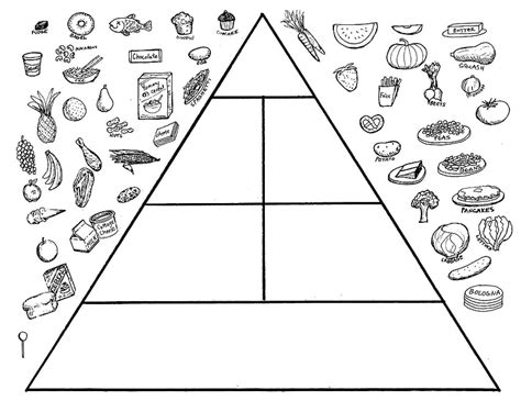Food Pyramid Printable Coloring Page Sexiz Pix