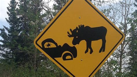 Hilarious Road Signs Keep Drivers In Alaska Distracted Road Signs