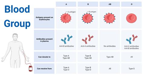 Blood Group Definition Systems Types Significances