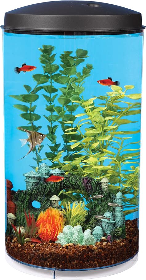 Best Acrylic Fish Tanks 2020 Get Aquarium Fish