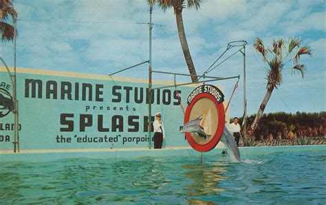 Marineland, Florida | Old florida, Vintage florida, Florida