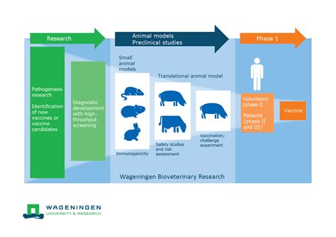 Preclinical and clinical studies - WUR