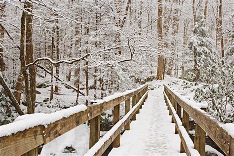 Featured Photo Winter Footbridge William Britten Photography