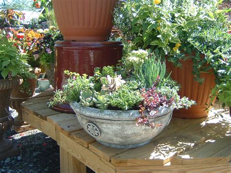 A lot of our business comes from word of mouth from previous happy customers. Canton, GA Garden Center - Plant Nursery - Landscaping ...