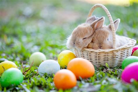 Ten Easter Traditions That Can Be Done At Home 965 Koit