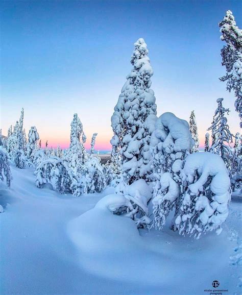 Magical Winter Landscape Lapland Finland By Giovanettoni