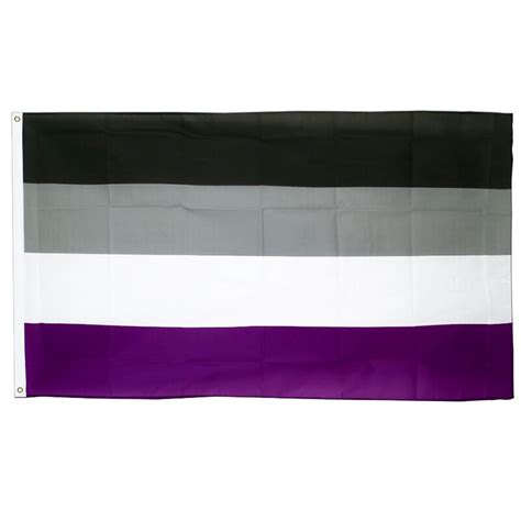 Cm LGBTQIA Ace Community Asexuality Asexual Pride Demisexual Flag