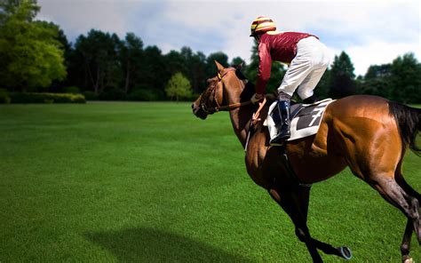 Horse Racing Wallpapers Pictures Images Afalchi Free images wallpape [afalchi.blogspot.com]