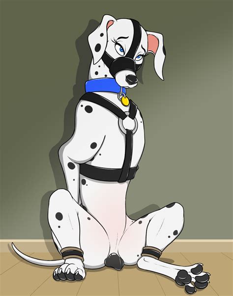 Rule 34 101 Dalmatians Animal Genitalia Bsdm Canid Canine Collar
