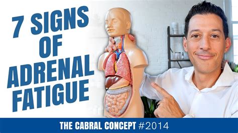 7 warning signs you re wearing out your adrenals adrenal fatigue cabral concept 2014 youtube