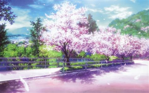 Anime Cherry Blossom Desktop Wallpaper Page 3 Of 3
