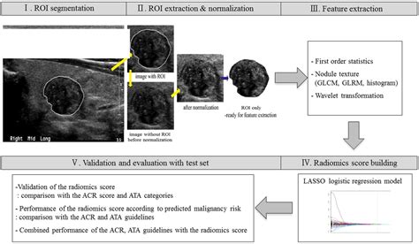 Combining Radiomics With Ultrasound Based Risk Stratification Systems