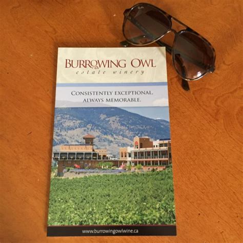 Consistently Exceptional Always Memorable Burrowing Owl Estate