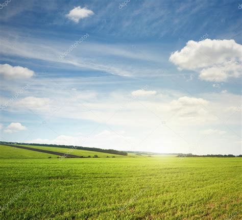 Green Meadow And Blue Sky — Stock Photo © Konstantynov 30005575
