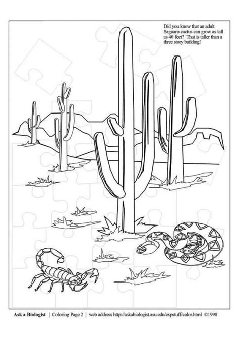 Coloring page desert - img 3977. | Coloring pages, Fall coloring pages