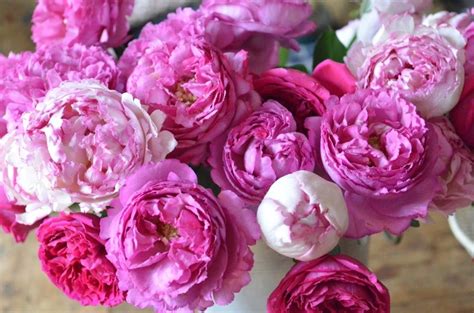 In white gold with diamonds. Rose-Yves-Piaget #PiagetRose. Visit your florist or order ...