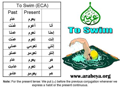 To Swim Arabic Lessons Learning Arabic Arabic Verbs