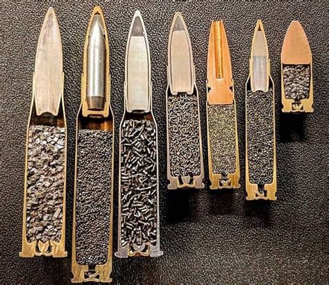 Different Caliber Bullets Cut In Half Rdamnthatsinteresting