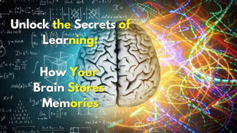 Unlock the Secrets of Learning: How Your Brain Stores Memories - YouTube