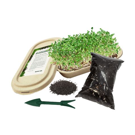 Microgreen Grow Kit Sprout Lab
