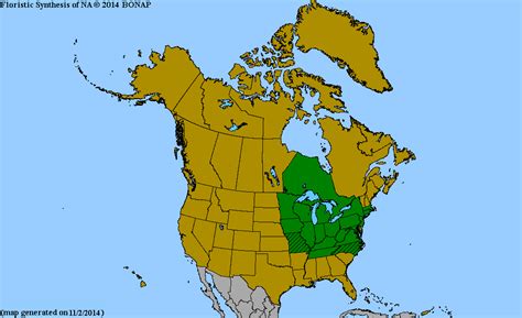 2013 Bonap North American Plant Atlas Taxonmaps
