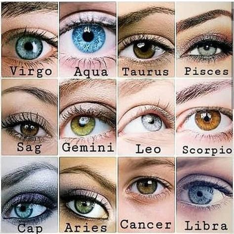 horoscope memes quotes zodiac signs sagittarius zodiac signs zodiac star signs