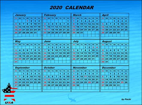 2020 Calendar Banner Usa Original Art By Pachi Picassomio