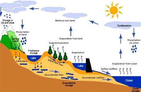 Siklus Hidrologi Pengertianproses Macam Dan Komponennya Images And