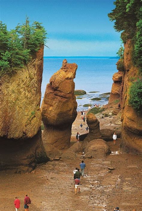 Bay Of Fundy New Brunswick Canada Travel Places To Travel Summer