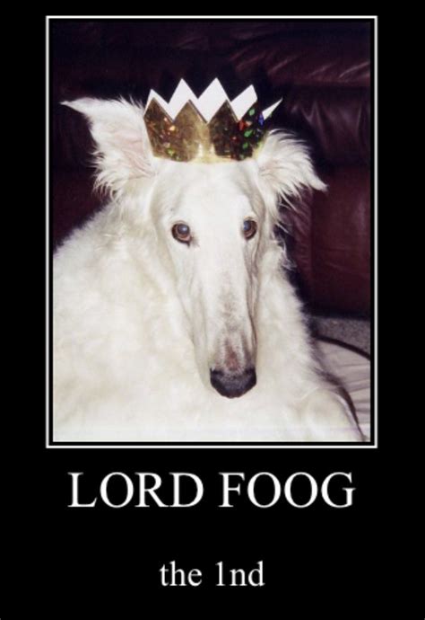 Lord Foog The 1nd Borzoi Dog Silly Dogs Goofy Dog