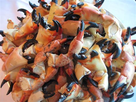 How Should Stone Crabs Be Prepared Fresh Stone Crabs Freshstonecrabs