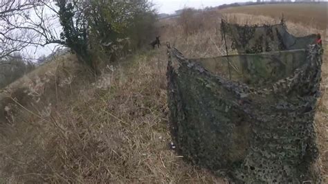 Pigeon Shooting Over Decoys Youtube