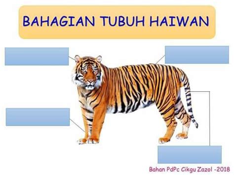 Learn vocabulary, terms and more with flashcards, games and other study tools. Tuisyen Individu Home Tuition #1 Kelantan: JOM BELAJAR ...