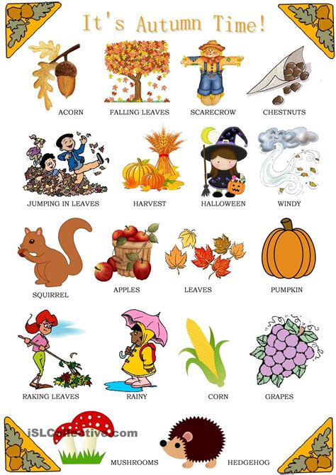 Its Autumn Time Flashcards For Kids Fall Preschool Activities