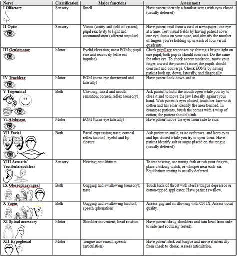 Mohawk College Rpn Student Resource Cranial Nerve Neuro Assessment