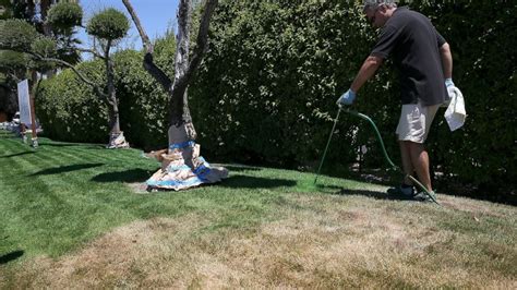 Lawn care expenses will depend, of course, on how much lawn you have, your willingness to do beyond the cost, however, there are other intangible things to weigh when considering whether to lawn treatment, including fertilization and weed and disease control: How Much Does Lawn Mowing Cost? - GreenSocks