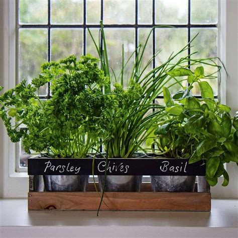 Garden Planter Box Wooden Indoor Herb Kit Kitchen Seeds Windowsill Pots