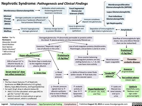 Nephrotic Syndrome Pathogenesis And Clinical Findings Nephrotic