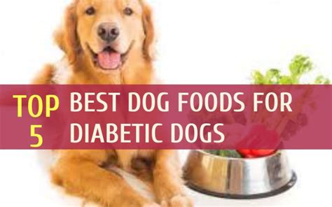 5 Best Dog Foods For Diabetic Dogs In 2022 Top Picks