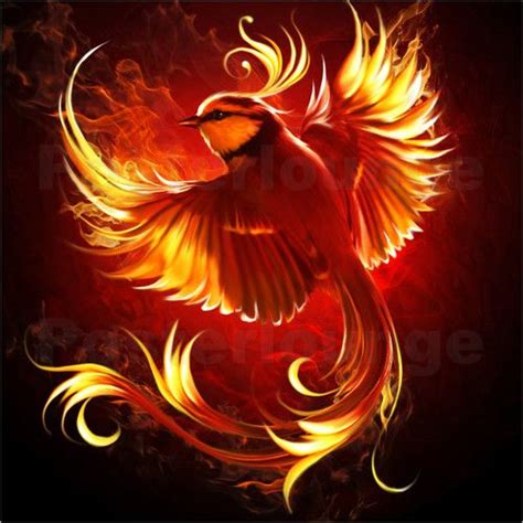 Premium-Poster Feuervogel | Feuervogel, Mystische tiere, Phönix aus der asche