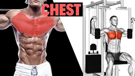 7 Best Bigger Chest Workout Youtube