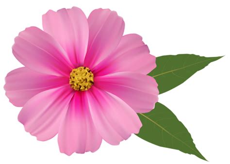 Thousands of new flower png image resources are added every day. Pink Flower PNG Image Clipart | Gallery Yopriceville ...