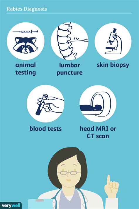 How Rabies Is Diagnosed