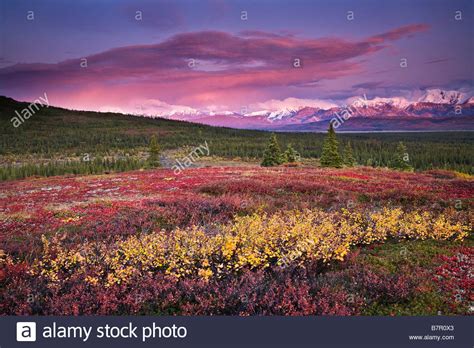Alpine Tundra High Resolution Stock Photography And Images Alamy