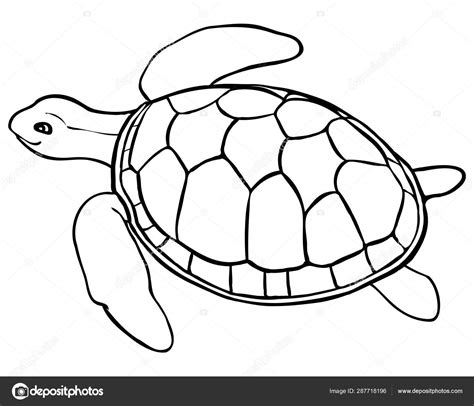 High quality turtle coloring pages, drawing pictures and images for you to color, paint, and draw on. Contour turtle - coloring page for kids, line art ⬇ Vector ...