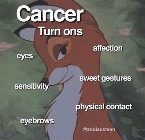 Funny Cancer Memes That Reveal The Untold Truth Of Cancerians Artofit