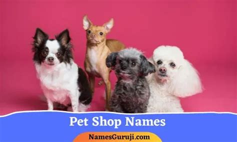 550 Pet Shop Name Ideas And Suggestions
